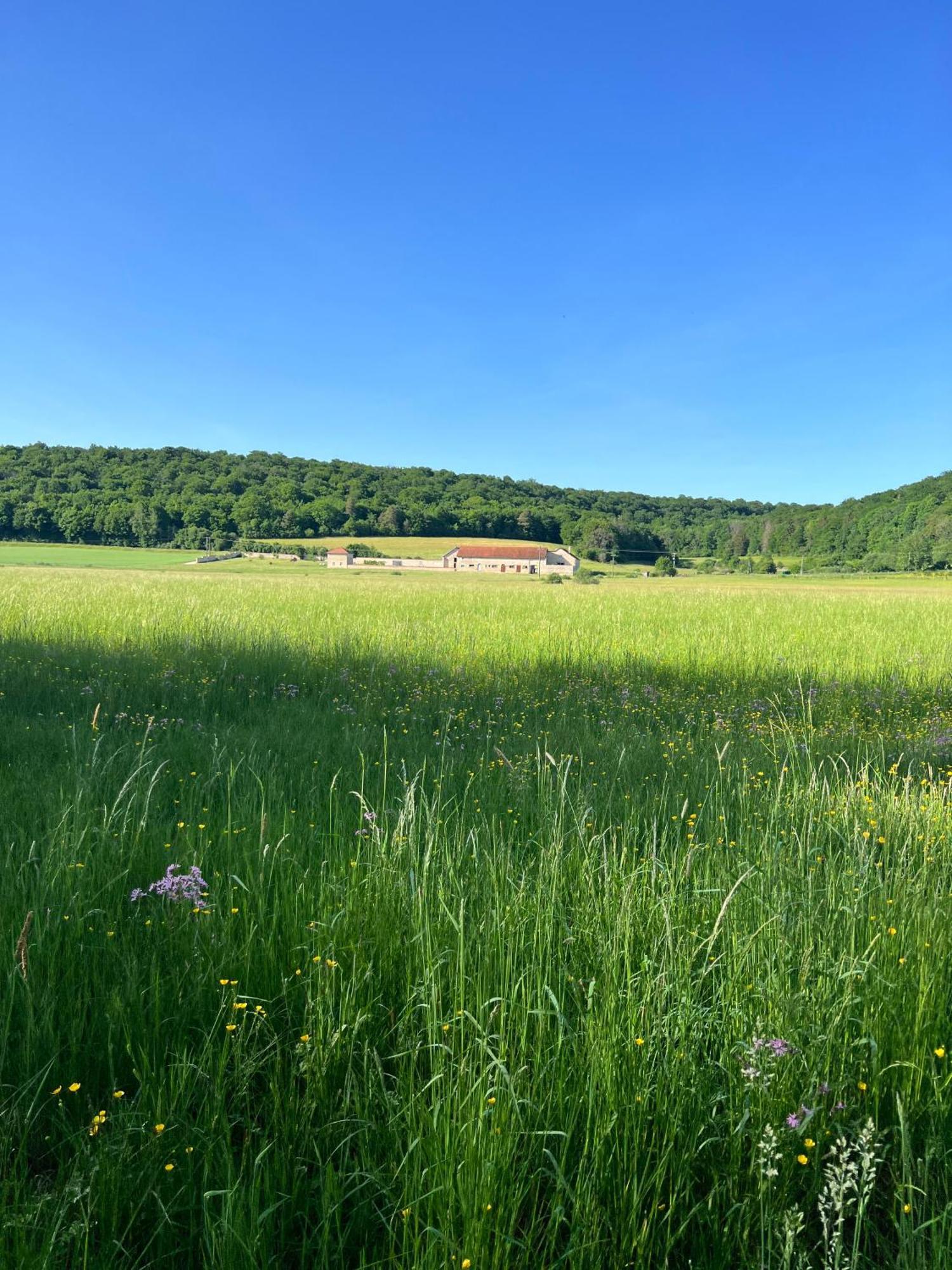 Gite De La Vallee De L'Aujon Arc-en-Barrois Eksteriør billede